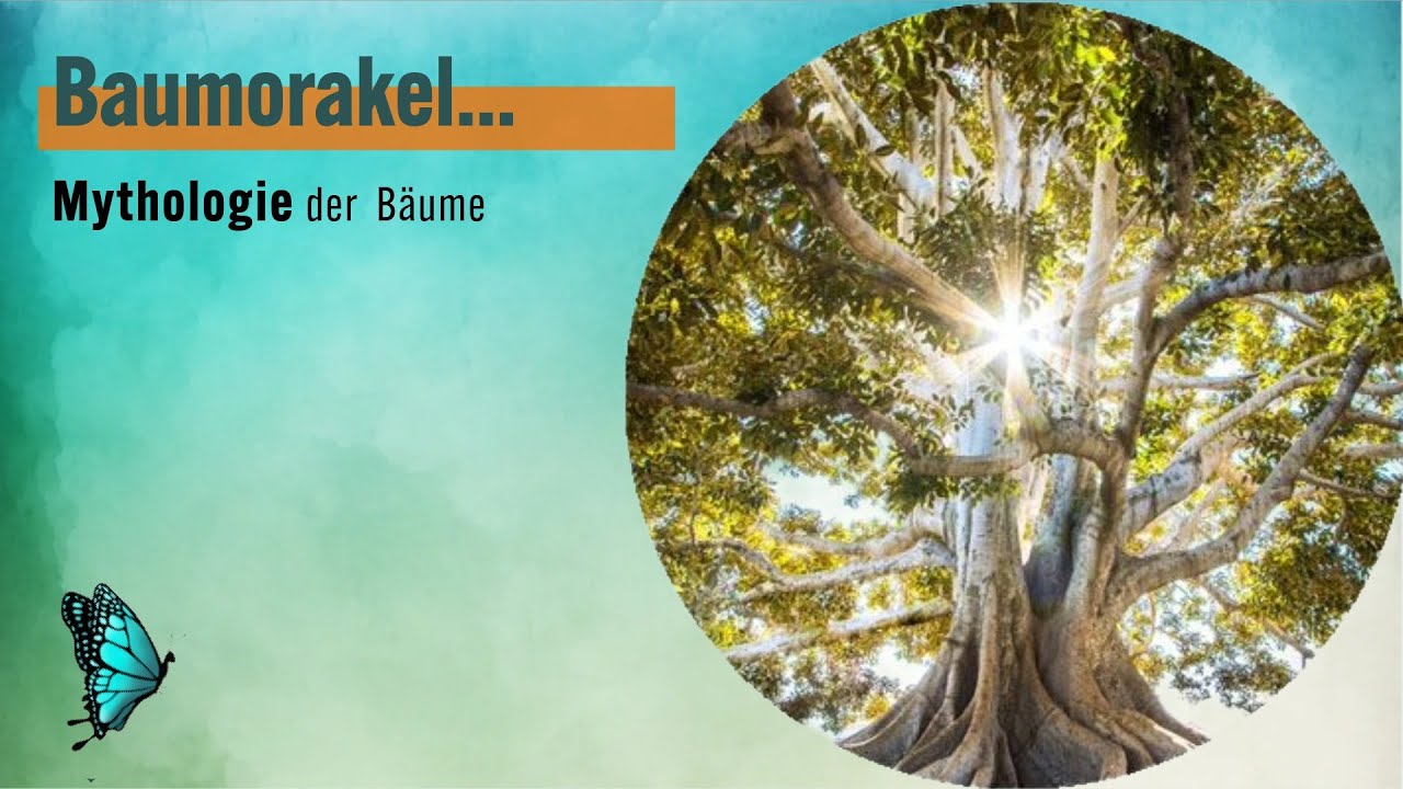 Bezug zum Baum 🪐 Wurzeln der Ahnen, Stamm der Erfahrung, Äste der Familie, Blätter der Erkenntnis...