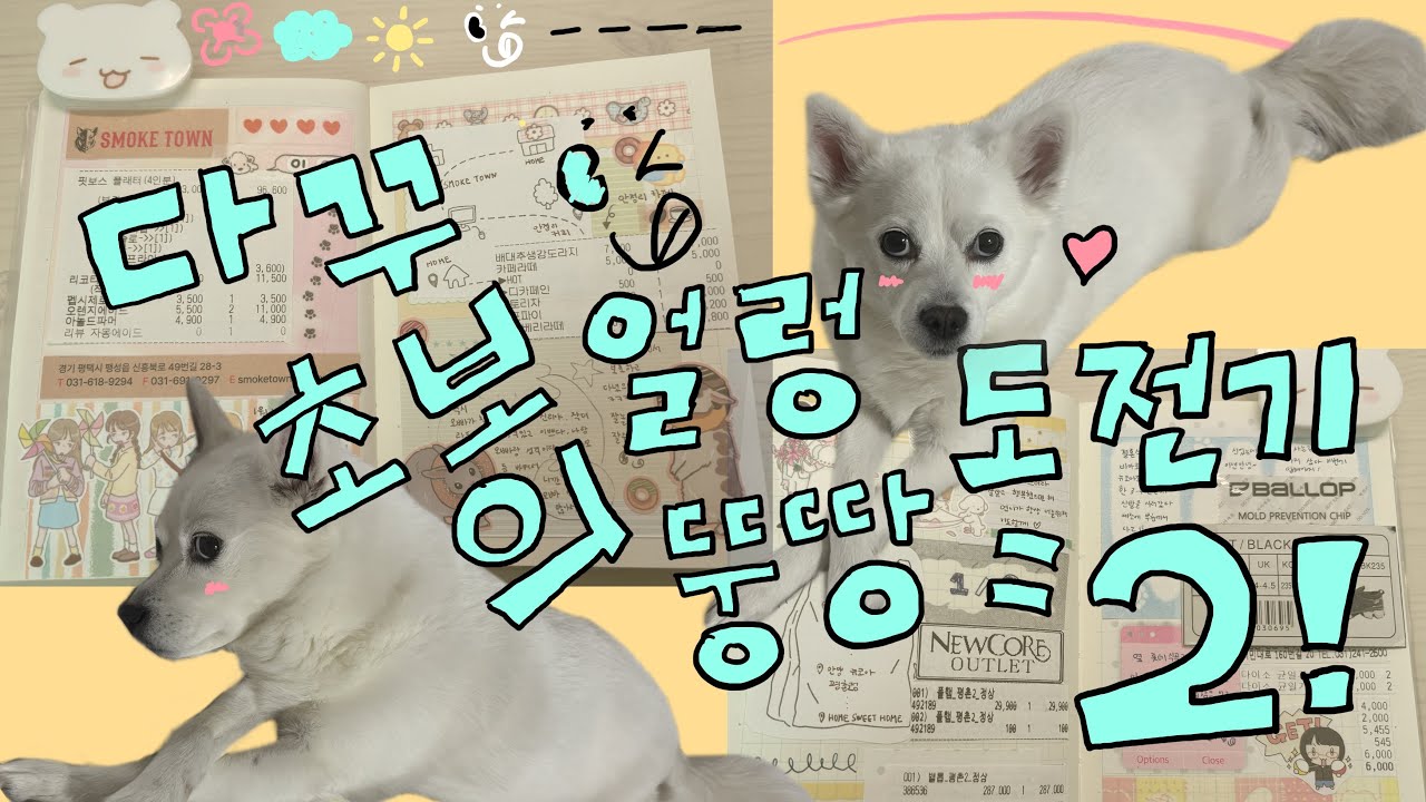 다꾸 초보의 얼렁뚱땅 다꾸 도전기! - (2) / 도전 기록일지!