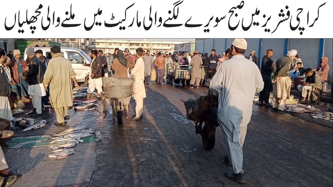 Wholesale Fish Market Karachi Fisheries Biggest Fish Market | Current Fish Price | Seafood King FIsh