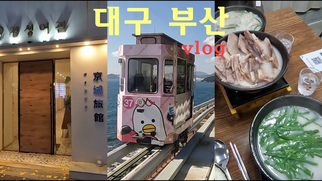 [대구 부산 vlog] SRT타고 대구 찍고 부산  2박3일 여행, 스카이캡슐, 경성여관, 대지숯불갈비, 양산집 돼지국밥