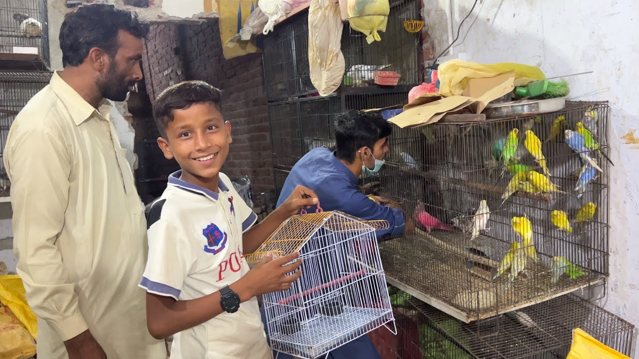 New Parrot Aa Gaya 😍🦜