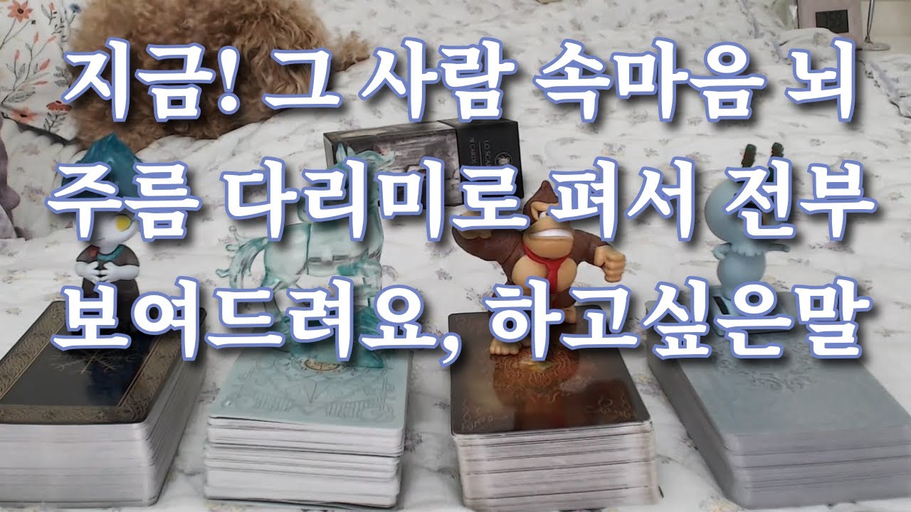 타로-  지금! 그 사람 속마음 뇌 주름 다리미로 싸그리 펴서 보여드려요& 하고싶은말