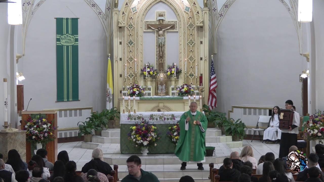 IV Domingo del Tiempo Ordinario