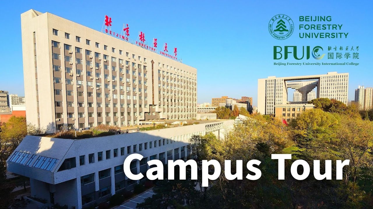 Campus Tour | Beijing Forestry University (2022)