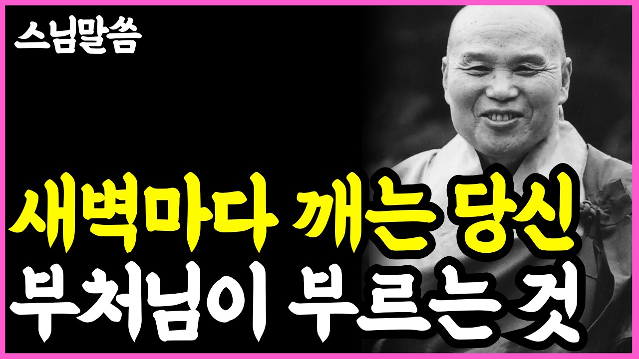 《인생명언》 새벽 3시~5시에 자꾸 눈이 떠지는 이유는? 부처님이 당신을 부르는 것이다. l 법정 스님  l 성철 스님 l 부처님 말씀 l 석가모니 l 행복한 노후 l 삶의지혜