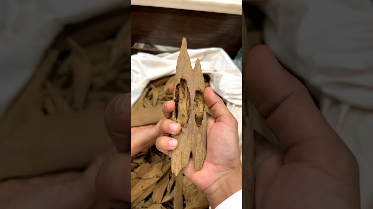 لقاء مع خبير البخور ودهن العود السلوم للعود في الرياض ب المعيقليه كيف تميز الجيد بالبخور المروكي