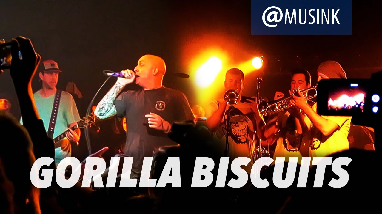 Gorilla Biscuits Perform 