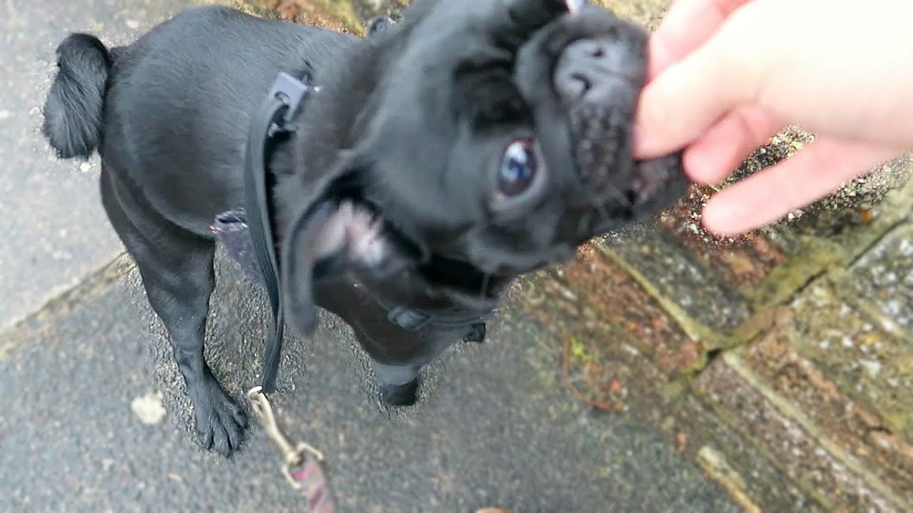 OUCHHHHH NALA