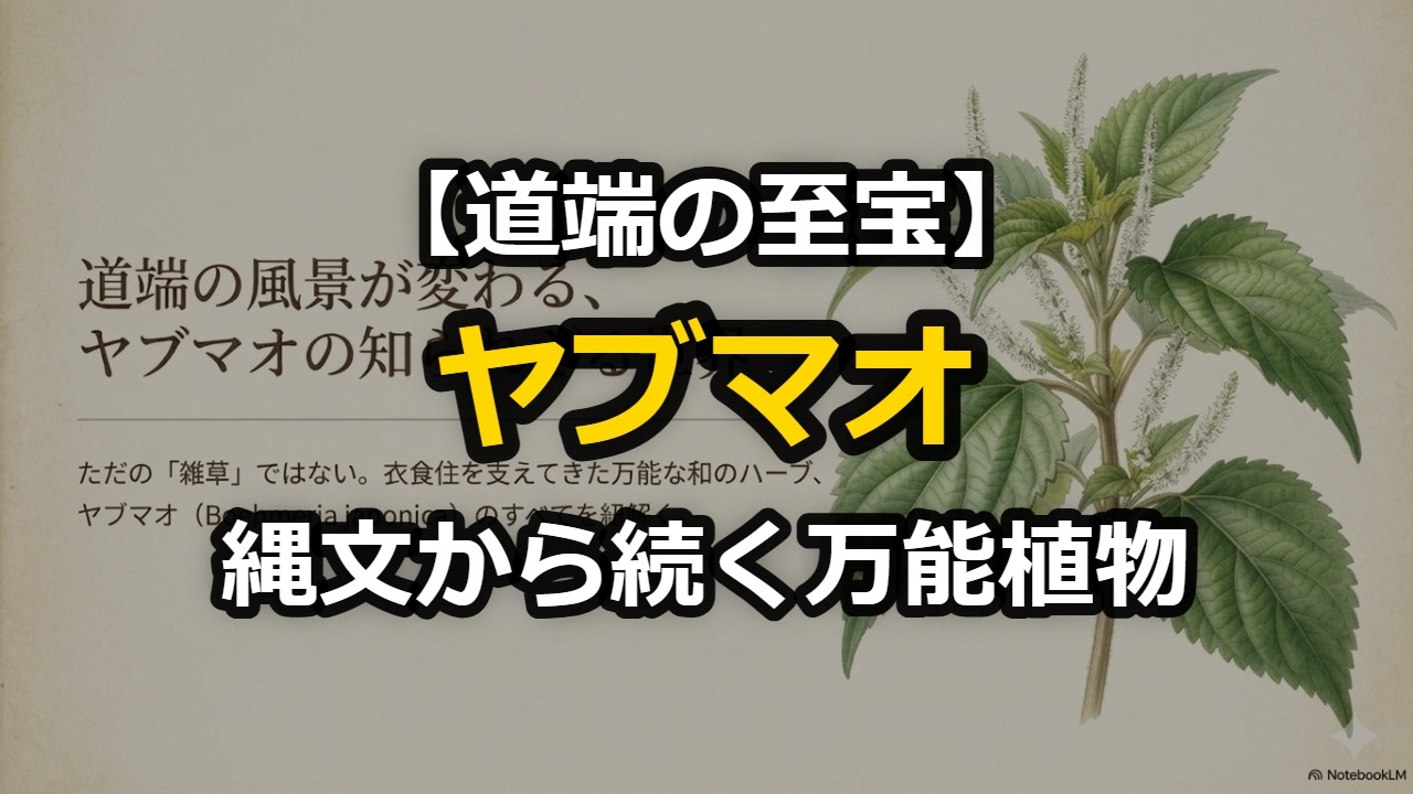 【道端の至宝】縄文から続く万能植物「ヤブマオ」の驚くべき正体と活用術