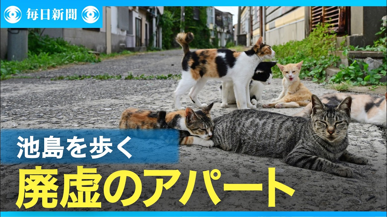 池島を歩く　ひとりぼっちの旅路　廃虚のアパート群に圧倒