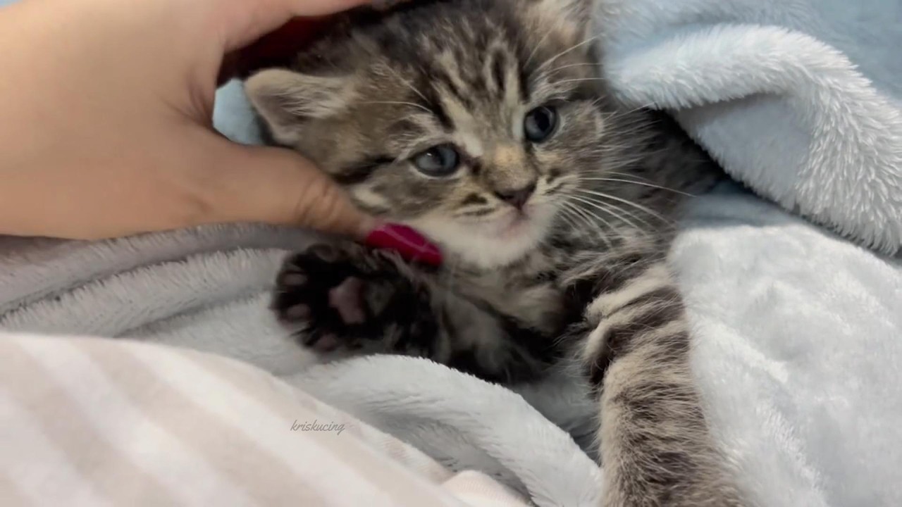 Прикосновение тишины
