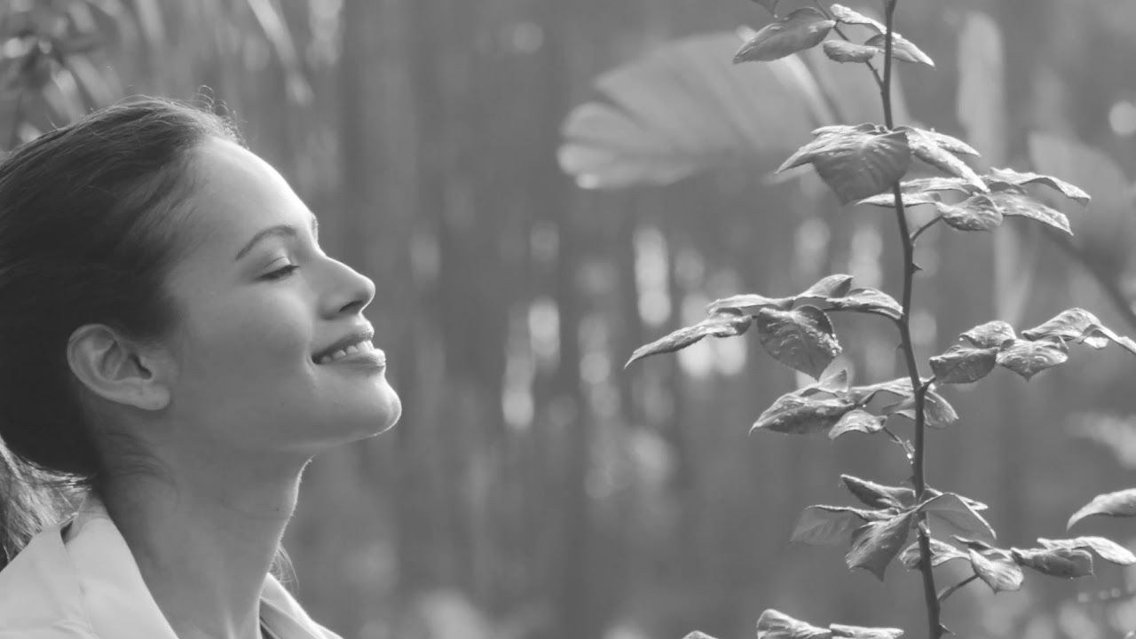 Adventure & Safari with Bespoke Holidays