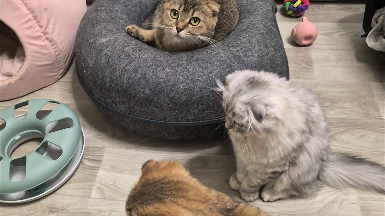Нам включили свет 😊 