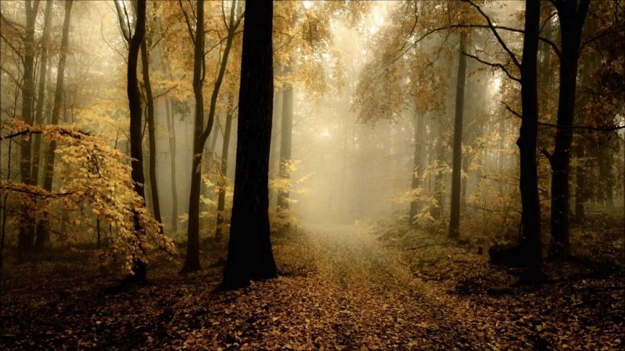 Frostlagte M&aring;ne - Paths Of M&oslash;rk Skog