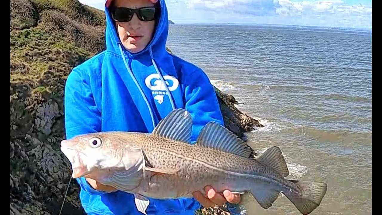 Sea Fishing Brean Down Bristol Channel -  Rays and Cod