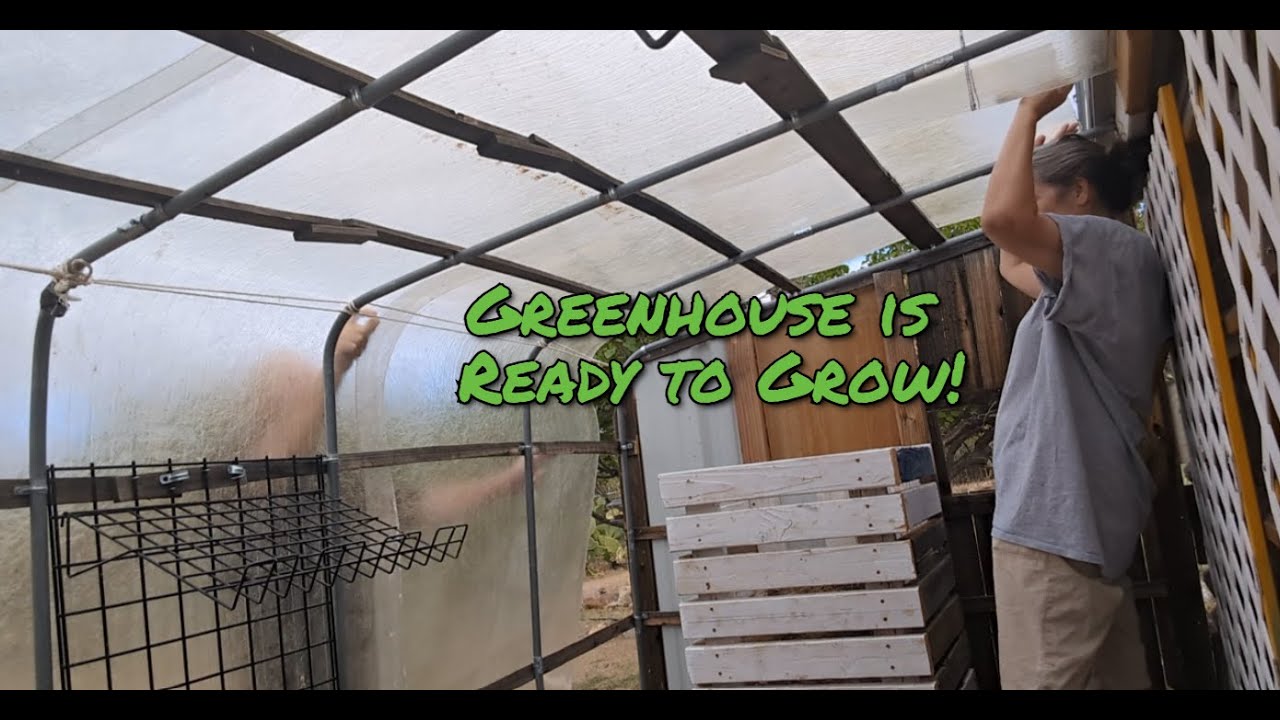 Reclaiming the Greenhouse! DIY Composting Bin to Prep for a WINTER GARDEN!