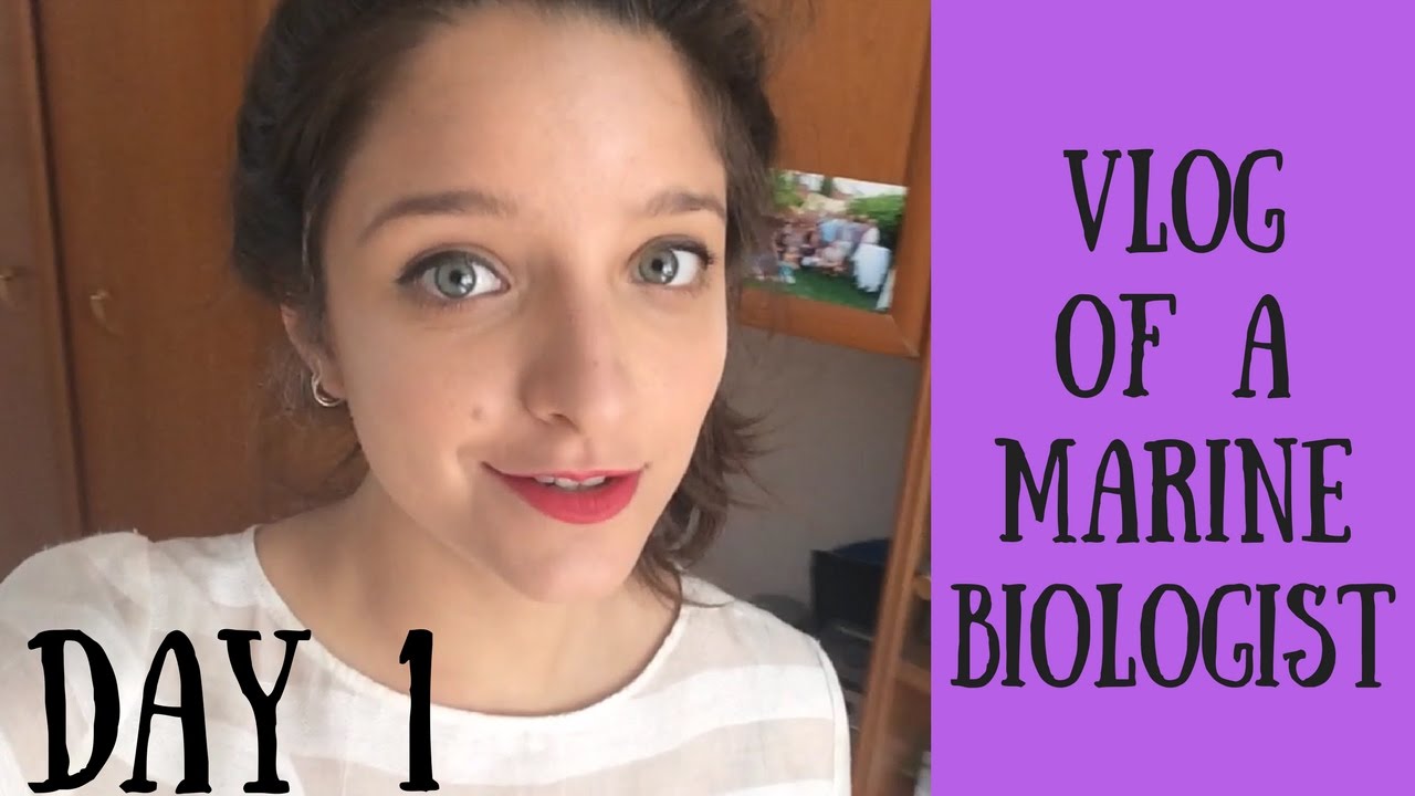 A day as a marine biologist PhD student #1 | Shopping day