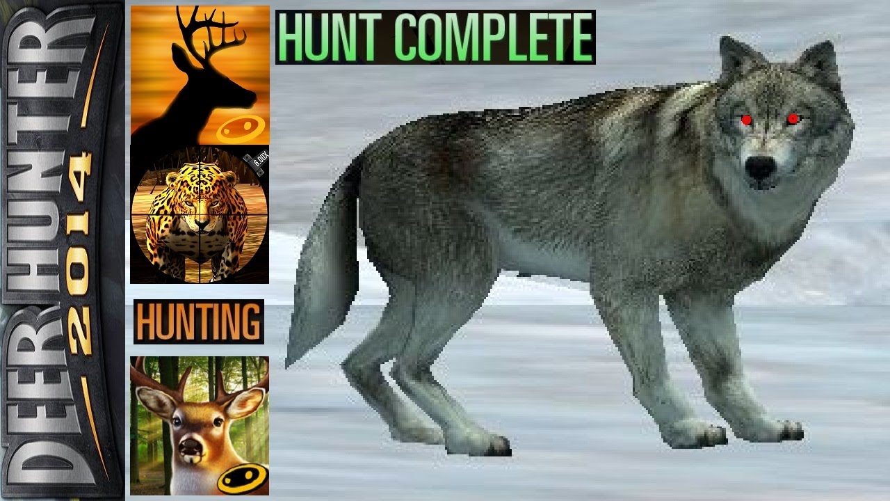 Deer Hunter [1 Hour Hunting] [Part 40]