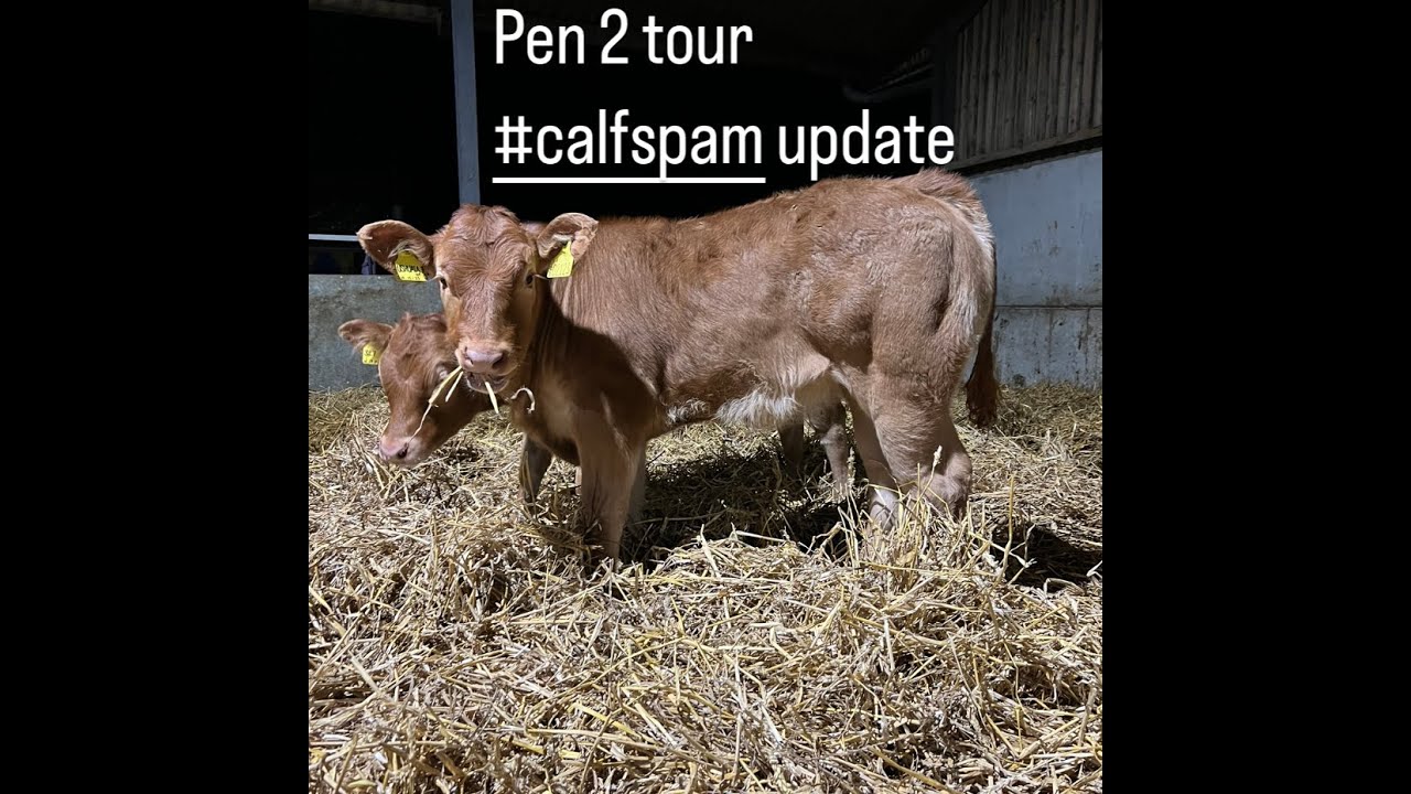 pen 2 tour