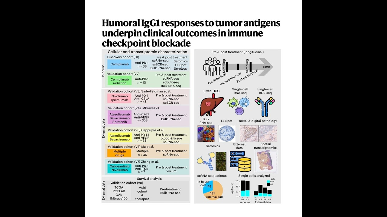586-IgG1 Plasma Cell Responses to Immune Checkpoint Blockade