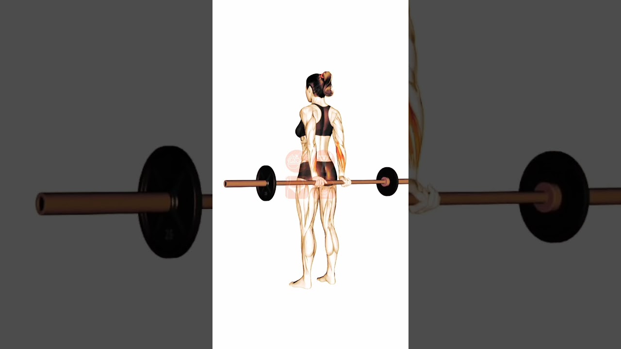 Barbell Standing Back Wrist Curl: How to Do It Properly and Build Stronger Wrists