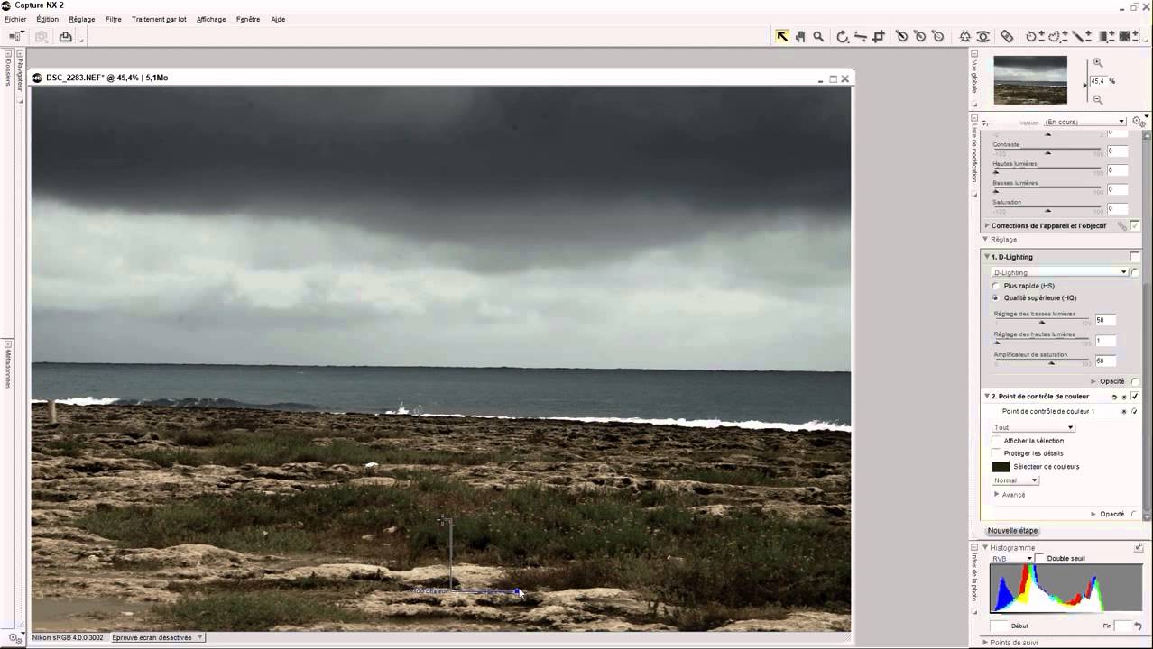 Les avantages & points forts de Nikon Capture NX2