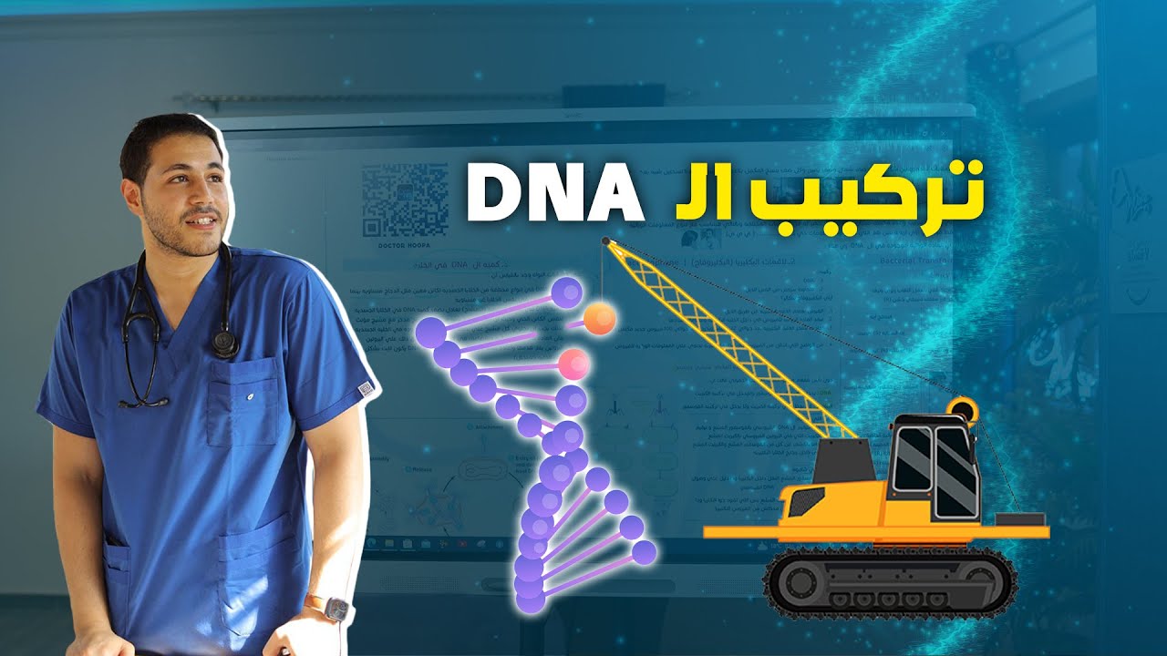 تركيب الـ Dna #احياء_ثالثة_ثانوى #ثانويه_عامه