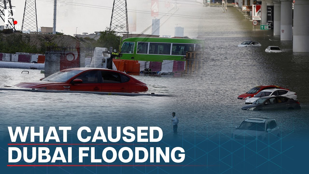 “Human-Led Climate Change” Caused Floods in Dubai? | Firstpost Earth