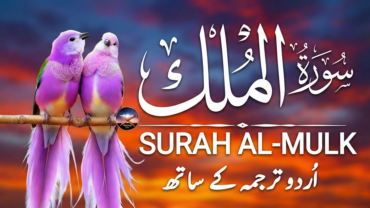 Surah Al-Mulk سورة الملك | Calming Quran Recitation for Night Peace & Deep Rest #quranforsleep
