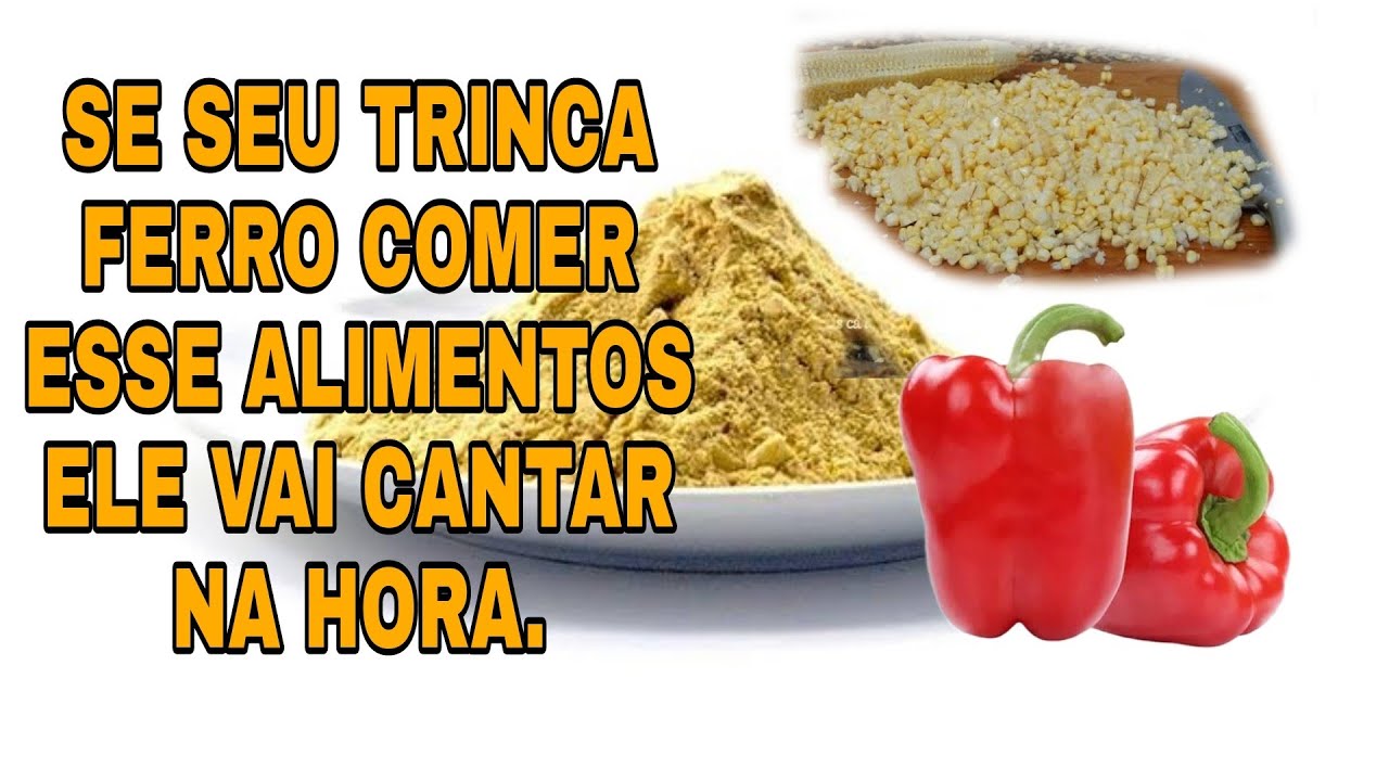 ALIMENTOS QUE AUMENTAR O CANTO DO TRINCA FERRO