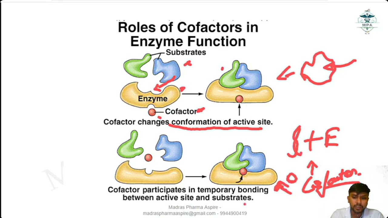 BIOCHEMISTRY Series (Enzymes) Tamil #gpat #pharmacist #neet #mrb #rrb 
