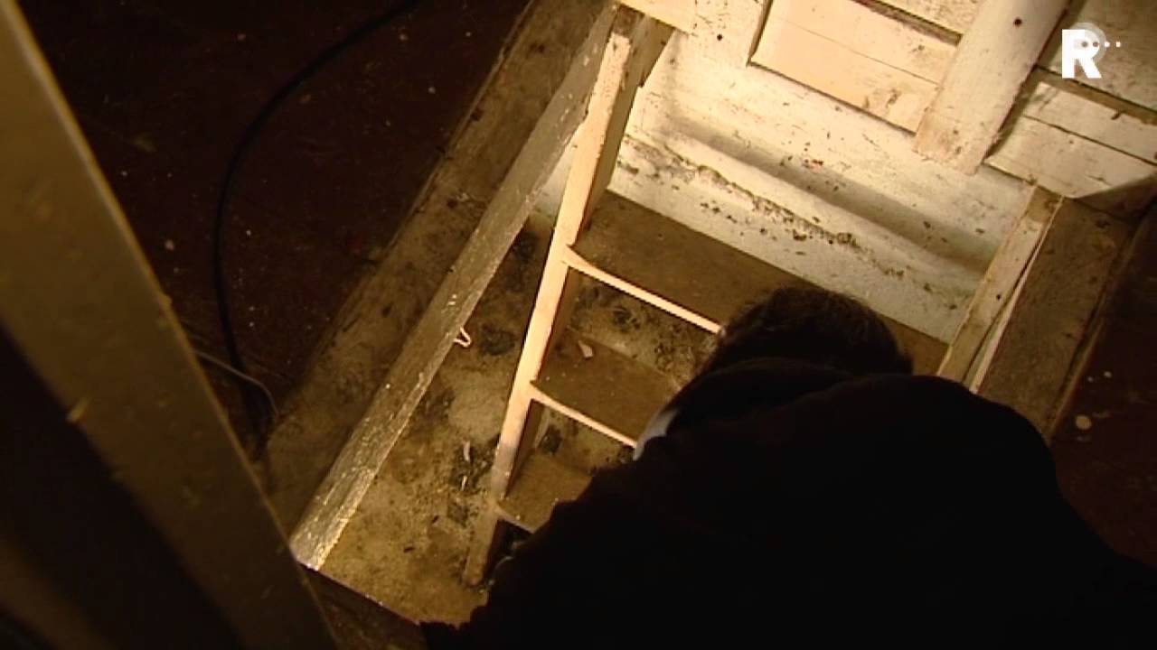 Ratten verjagen Rotterdamse bewoners