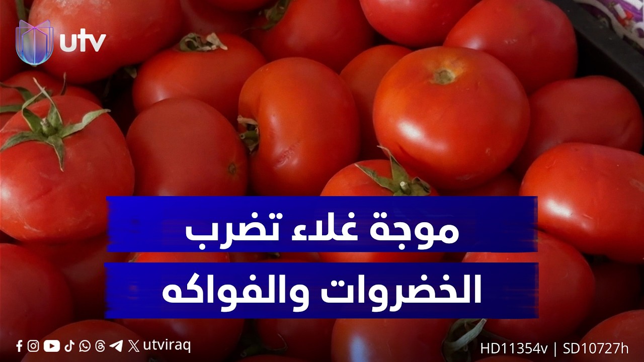 «الطماطة» في الصدارة.. موجة غلاء تضرب الخضروات والفواكه مع تراجع الاستيراد وشلل الأسواق