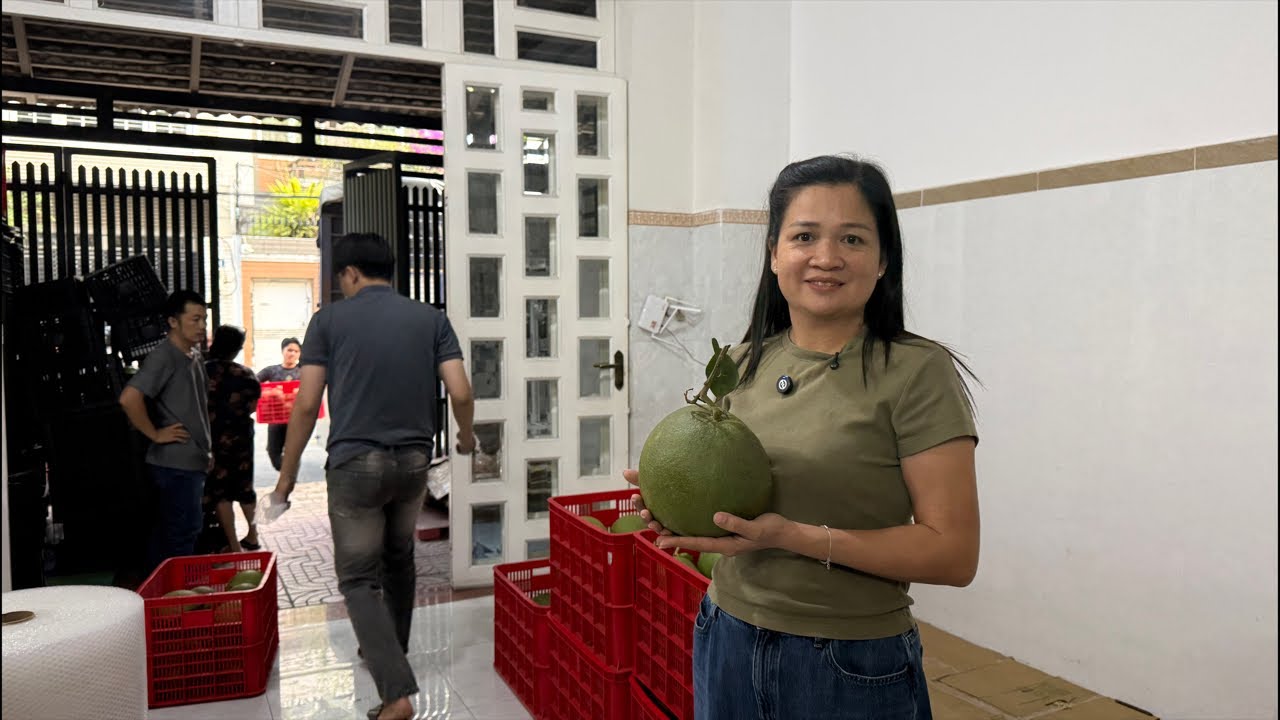 Bưởi về !