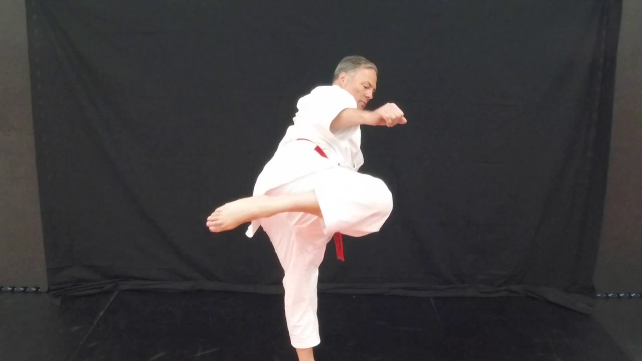 Hiscoe Jiu-Jitsu Roundhouse Kick in Defensive Stance