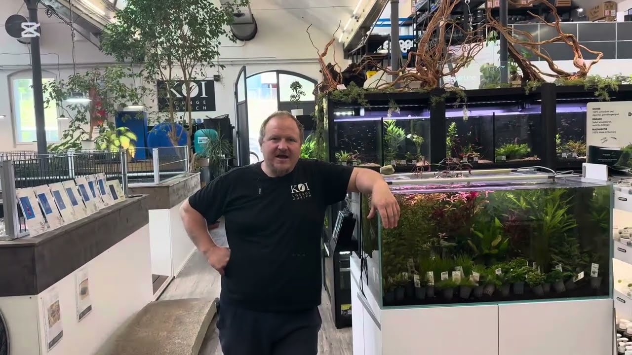 KOI LOUNGE VLOG No 11: Rundgang und Vorstellung Aquaristik
