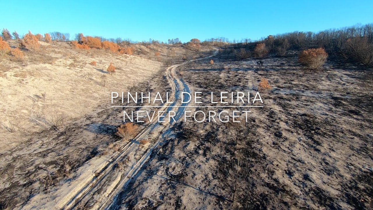 Pinhal de Leiria Memorial