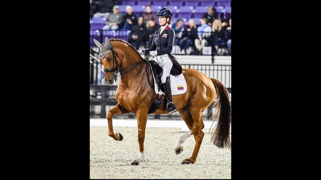 Honnaisseur SJ – Olympic Grand Prix Partner | 74%+ FEI Freestyle