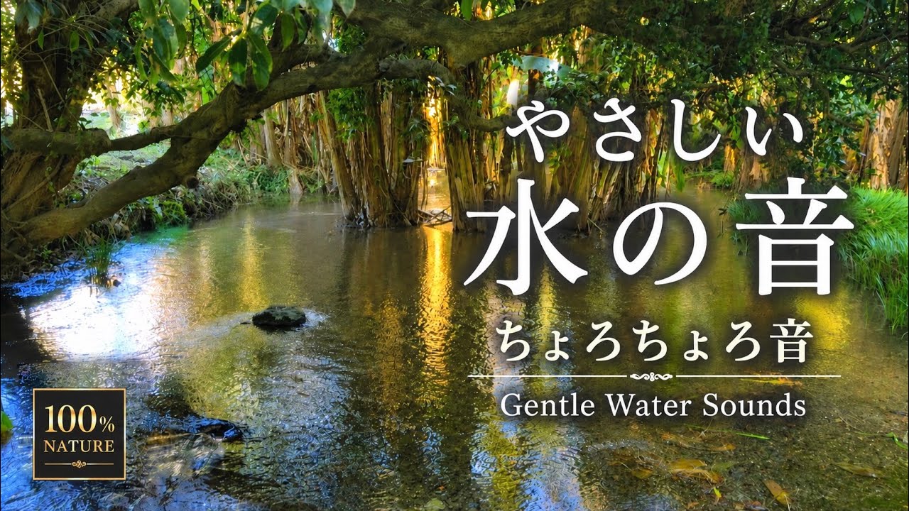 ASMR: Healing Water Sounds | Gentle Whisper of a Small Stream
