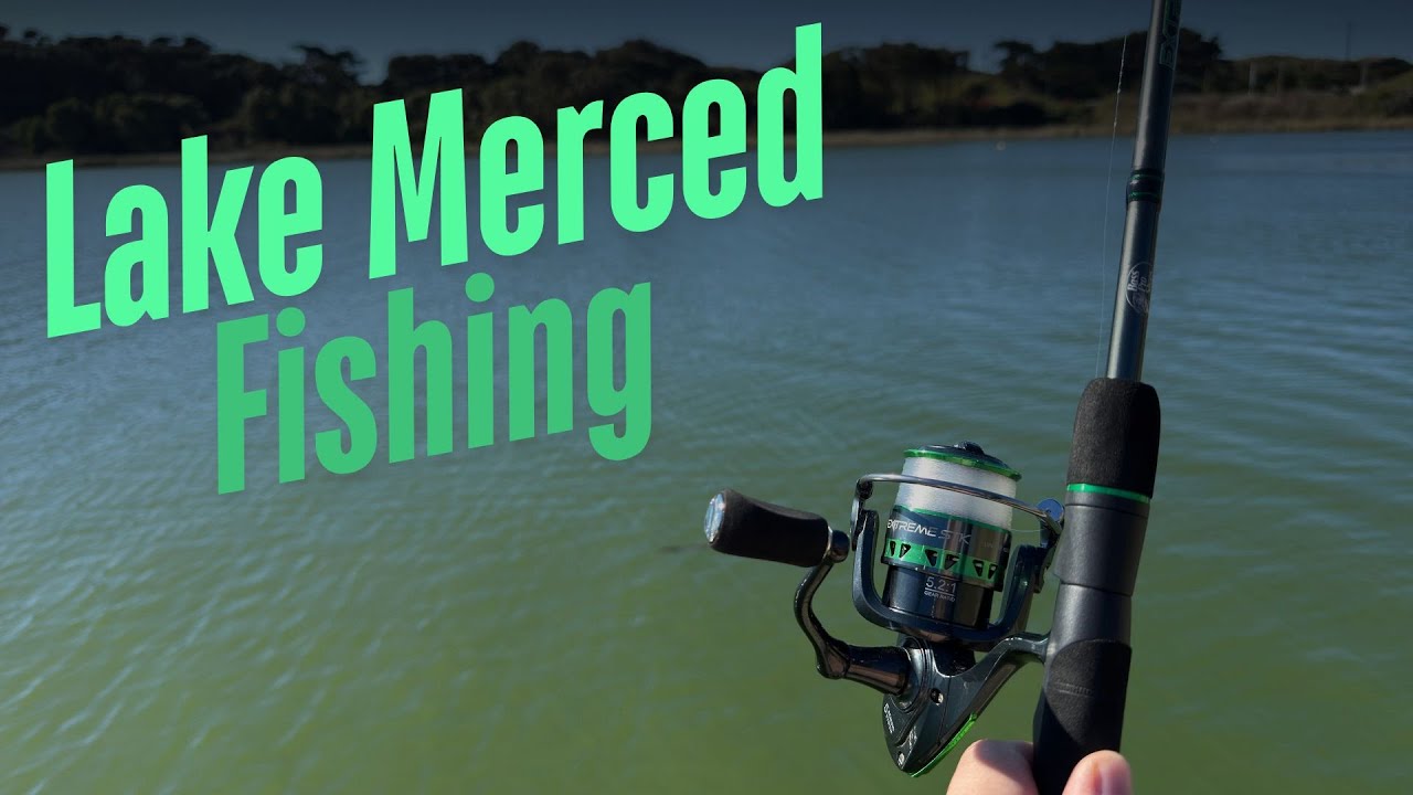 Lake Merced Fishing