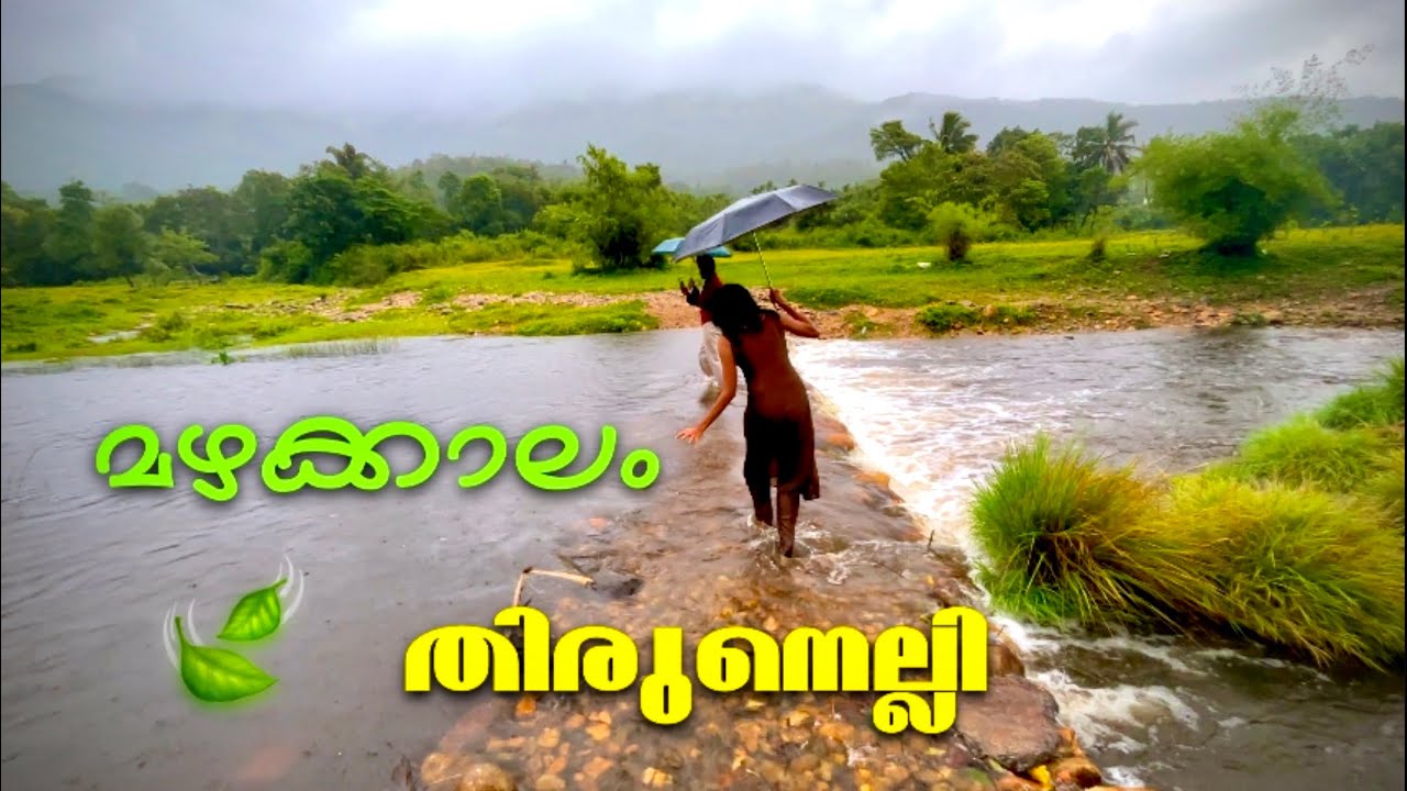 Monsoon Magic at Thirunelli | Kalindi River Beauty & Village Vibes in Wayanad 🌧️🌿