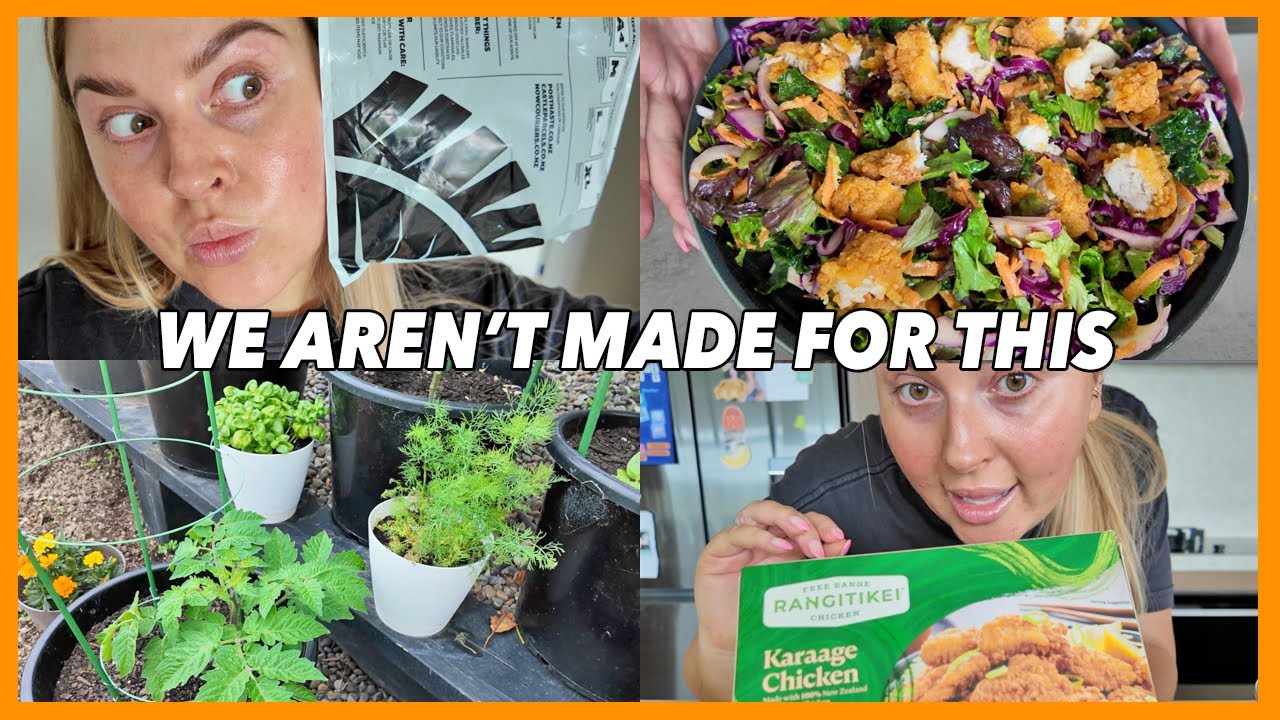 conspiracy theories & my salad recipe 👽 vlog 746