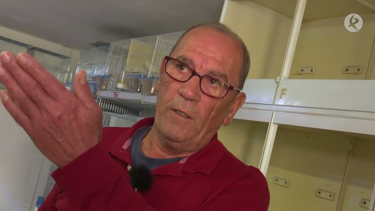 Los canarios de Florencio triunfan en Alemania y en Extremadura | Puerta con puerta