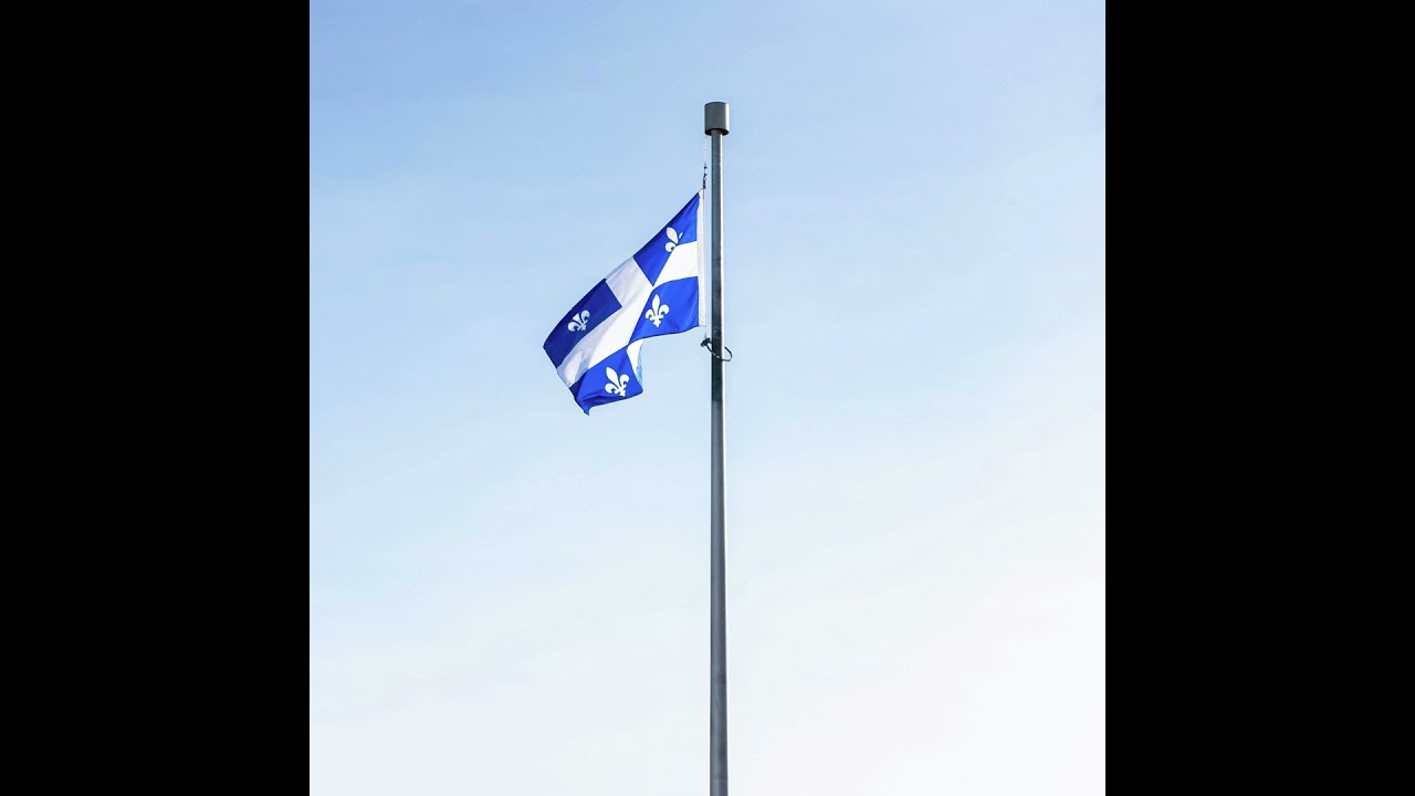 Should the Canadian Party of Quebec merge with the Quebec Liberal Party?