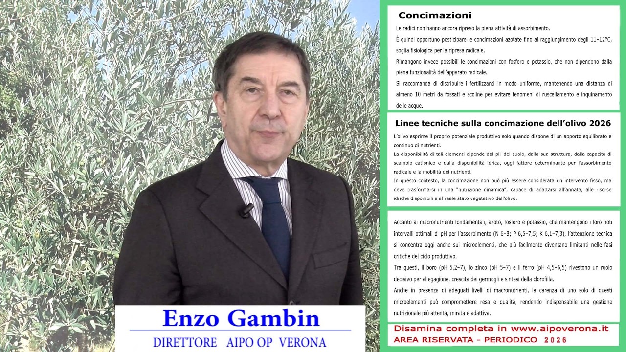 Periodico olivo 27 Febbraio 2026