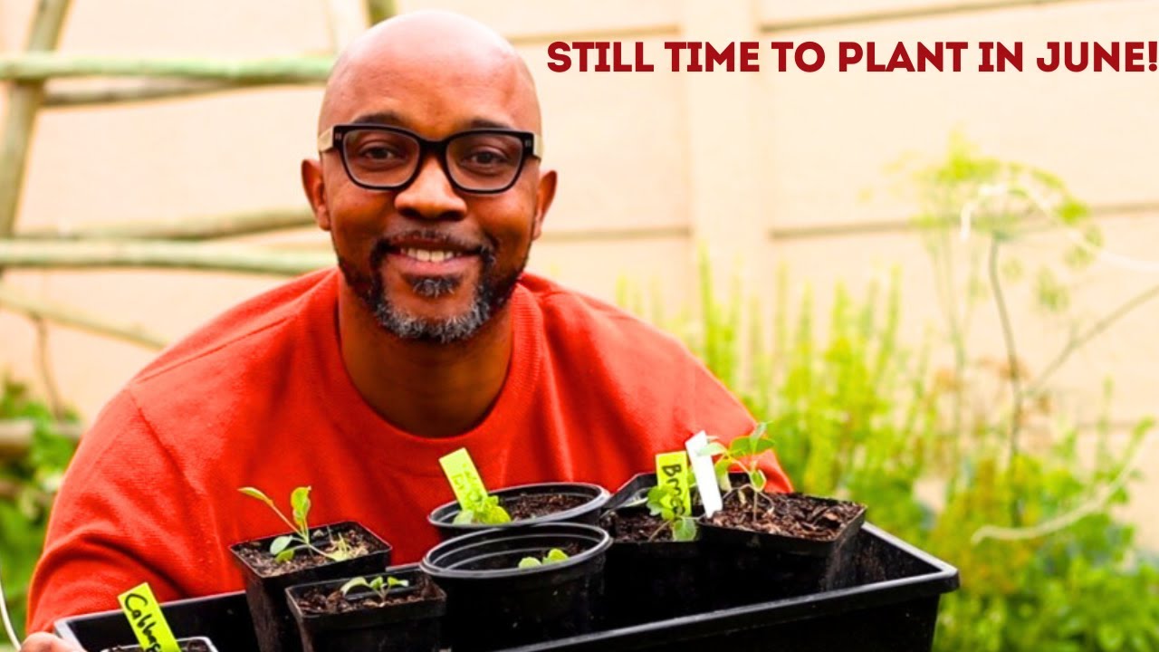 Winter Gardening in June 🌱 | Full Update + What You Can Still Plant| South African Garden