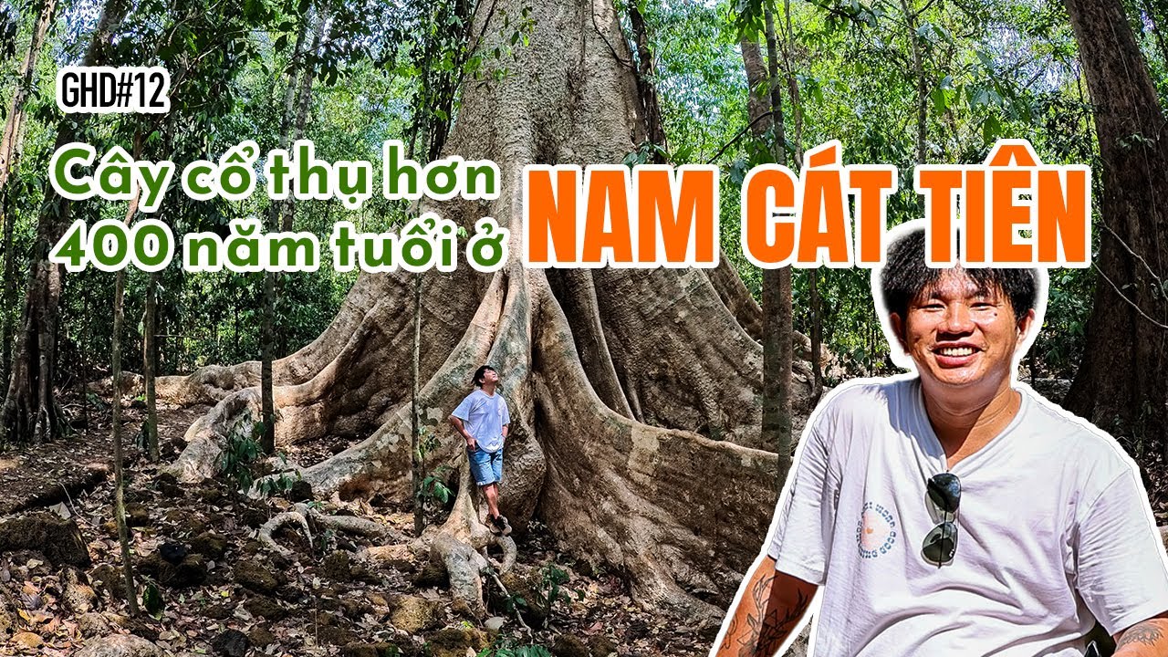 24h ở Bàu Sấu, vườn quốc gia Nam Cát Tiên có gì thú vị? | 