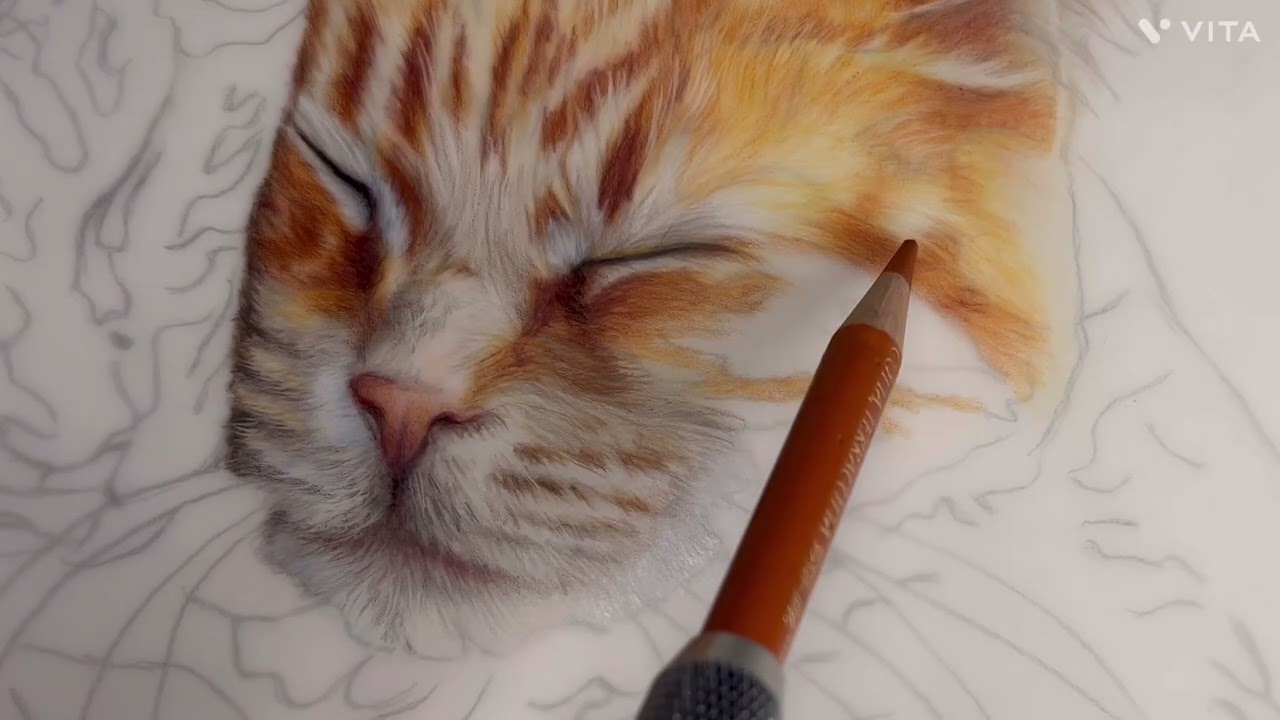 Видеоурок по созданию кошек, фрагменты видео, ПОЛНЫЙ урок на Patreon!