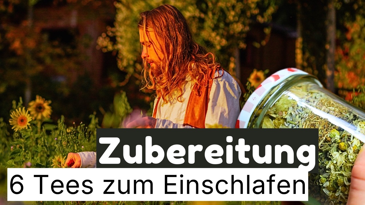 Die besten Tees zum Einschlafen – 6 natürliche Schlafhelfer