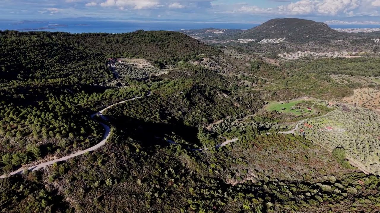 Yağmurla Canlanan Urla Ormanları